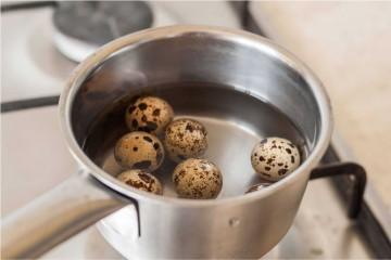 Перепелиные яйца перед приготовлением тщательно моют и варят в специальной посуде
