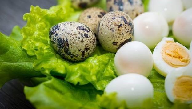 Для питания грудничка перепелиные яйца должны быть сварены только вкрутую