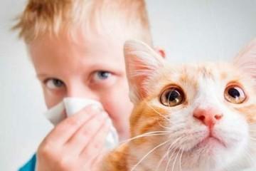 Аллергия на домашнего питомца может проявиться в любом возрасте