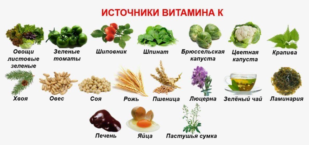 Продукты-источники витамина К
